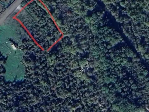 Prodaja, plac, 2200m², Cetinje, Crna Gora - image 2