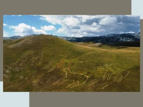 Prodaja, plac, 100000m², Žabljak, Crna Gora - image 3