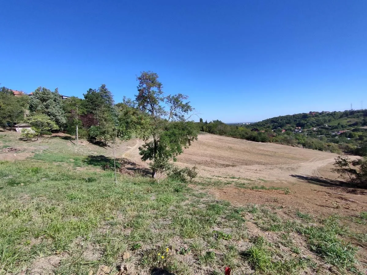 Prodaja, plac, 700m², Sremska Kamenica, Petrovaradin