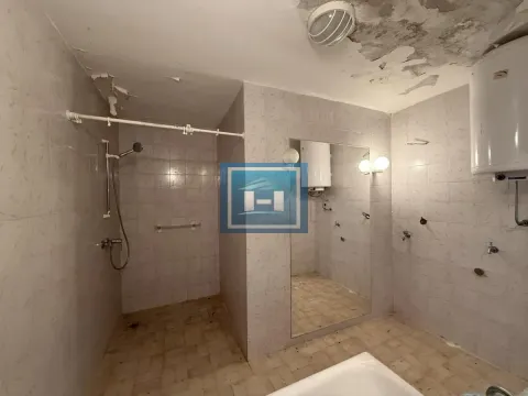 Prodaja, kuća, 500m², Miloševo, Jagodina - image 18