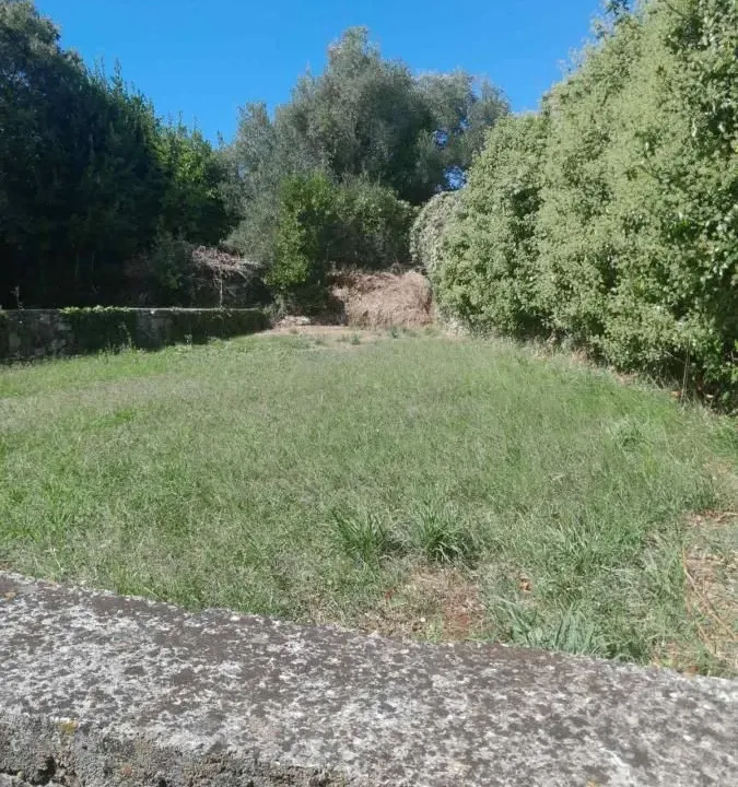 Prodaja, plac, 1700m², Kotor, Crna Gora