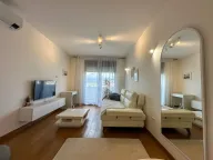 Izdavanje, jednosoban stan, 46m², Tološka šuma, Podgorica - image 1