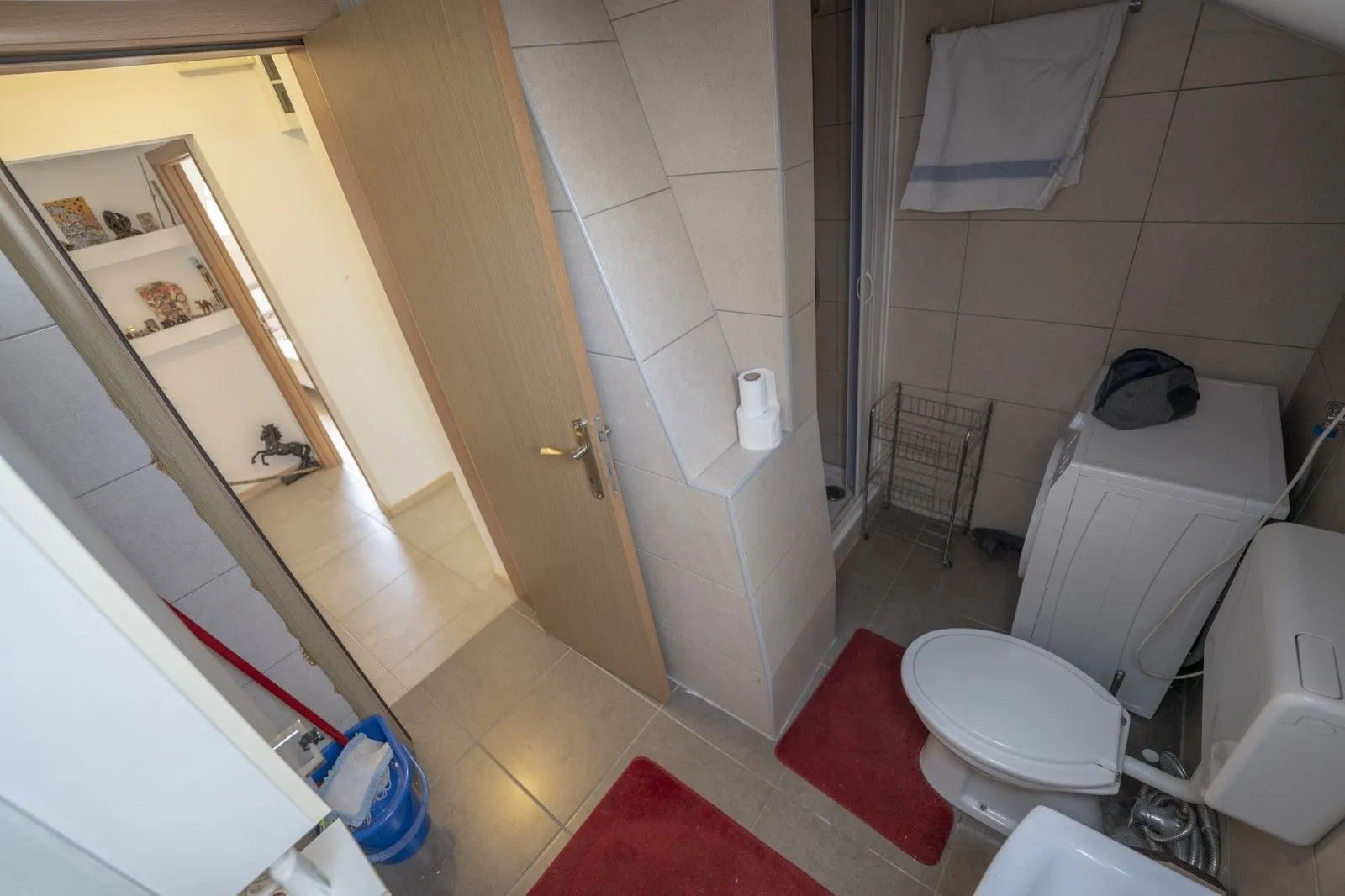 A bathroom featuring a toilet and a washing machine near the entrance.