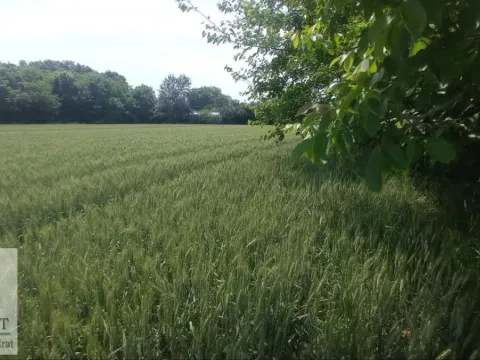 Sale, land lot, 7600m², Brgulice, Obrenovac - image 3