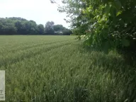 Prodaja, plac, 76m², Brgulice, Obrenovac - image 3