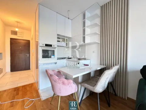 Rent, studio apartment, 24m², Stari Aerodrom, Podgorica - image 6