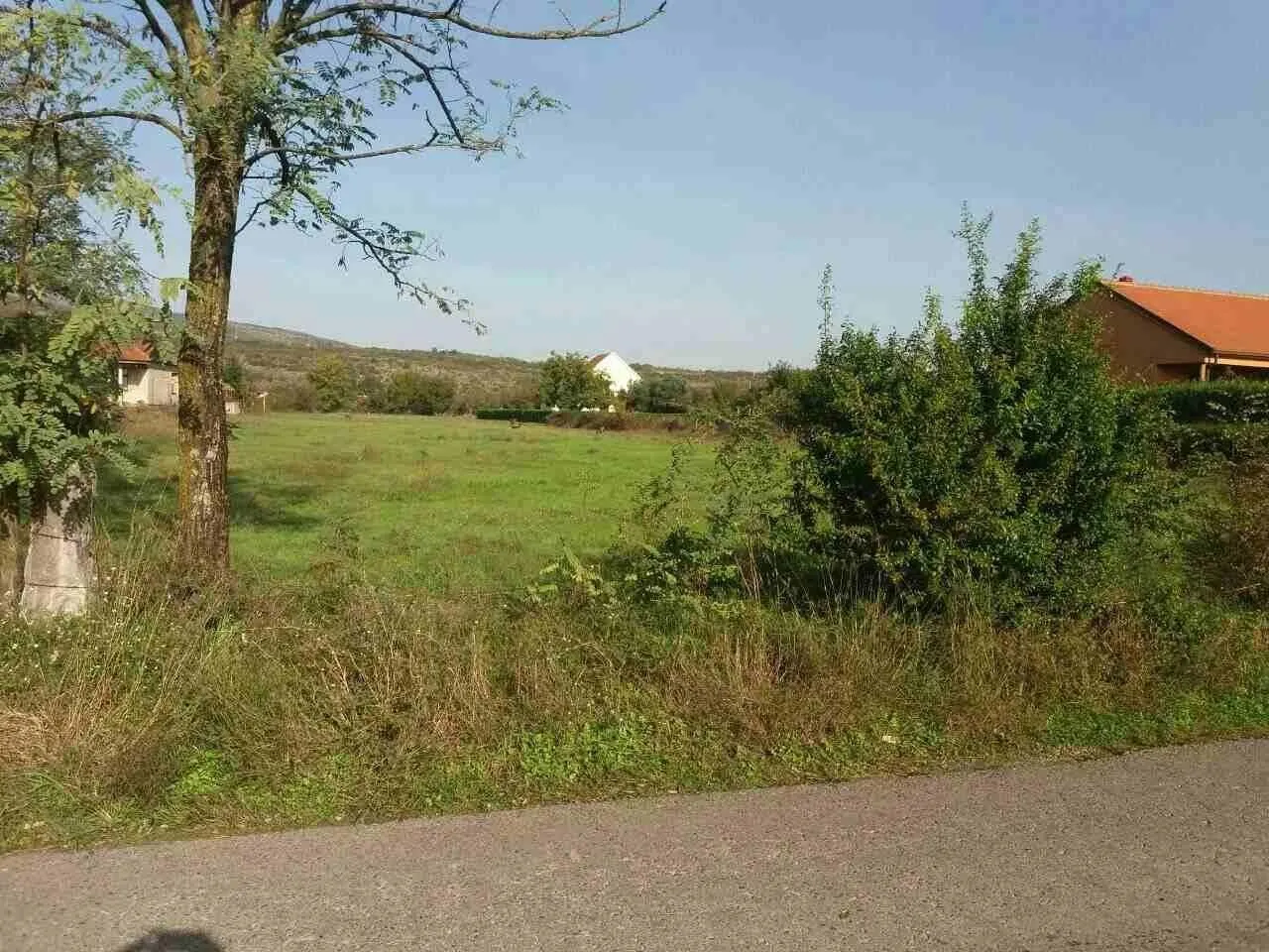 Prostran travnati plac sa drvećem pored asfaltnog puta.