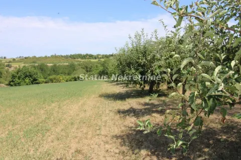 Prodaja, plac, 3415m², Beočin, Srbija - image 4