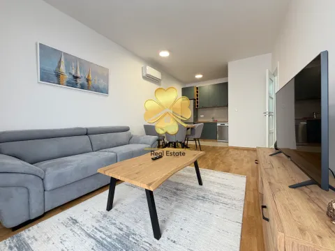 Rent, one bedroom apartment, 50m², Pobrežje, Podgorica - image 2