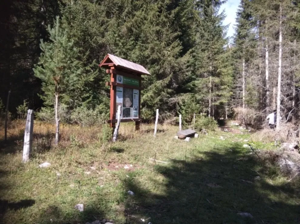 Prodaja, plac, 17803m², Podgora, Žabljak