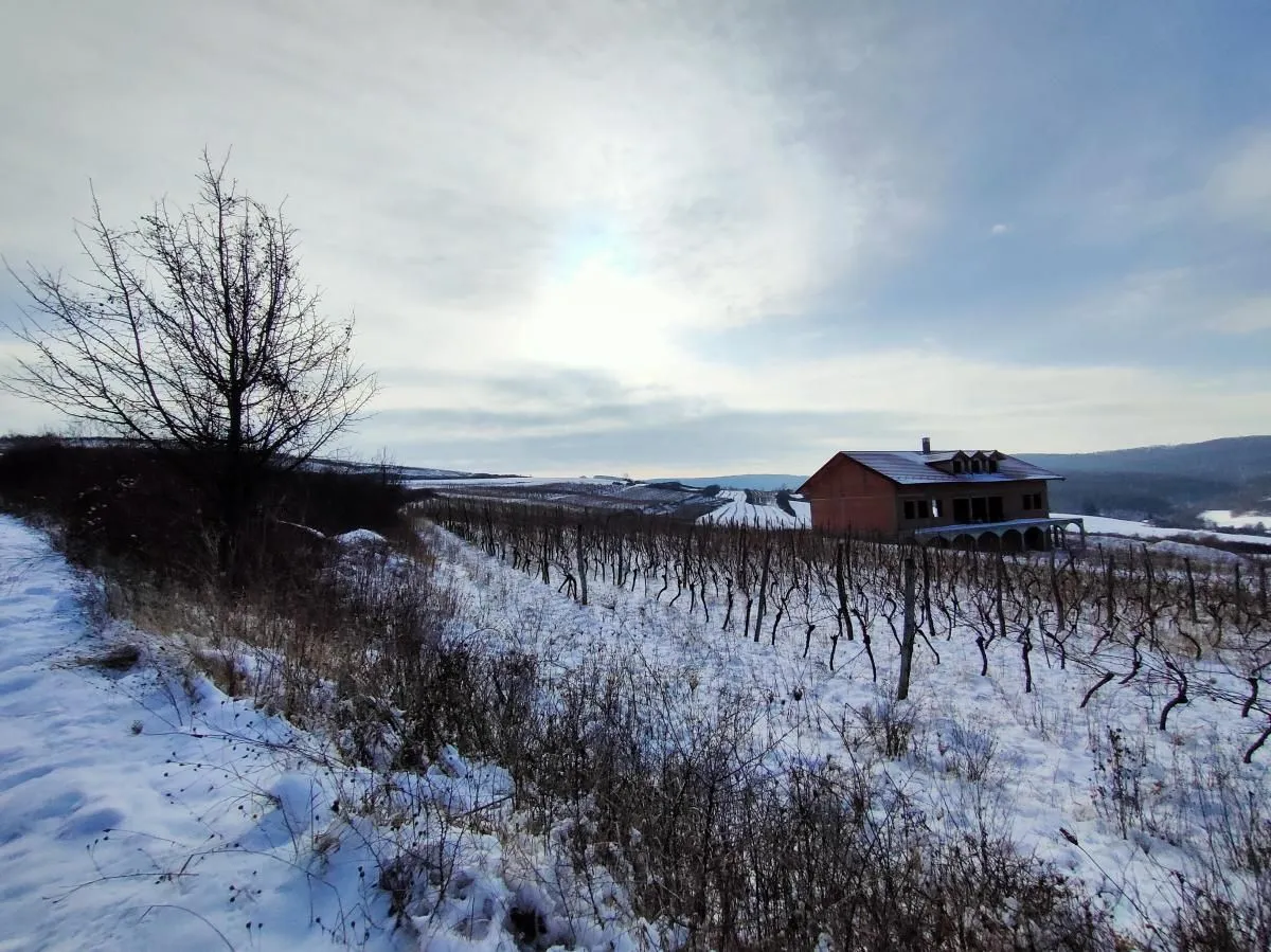 Prodaja, plac, 300m², Beočin, Srbija