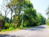 Prodaja, plac, 1860m², Zeta, Podgorica - image 1