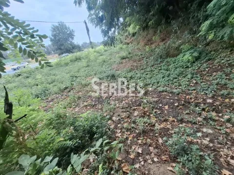 Sale, land lot, 59100m², Sremski Karlovci, Novi Sad - image 2