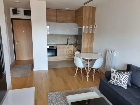 Izdavanje, dvosoban stan, 42m², Tošin bunar, Novi Beograd Sve Podlokacije - image 3
