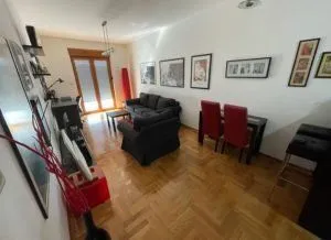 Izdavanje, jednosoban stan, 50m², Preko Morače, Podgorica