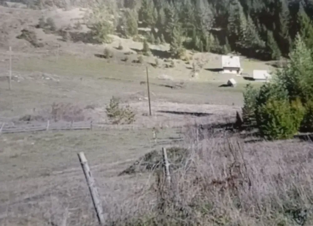 Sale, land lot, 15500m², Krš, Žabljak