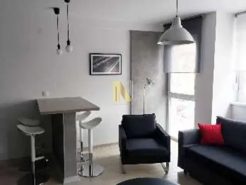 Izdavanje, dvosoban stan, 45m², Centar, Novi Sad - image 4