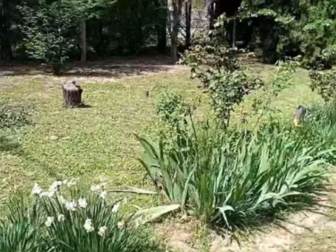 Sale, house, 60m², Čortanovci, Inđija - image 3