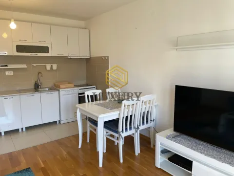 Rent, one bedroom apartment, 50m², Zabjelo, Podgorica - image 4