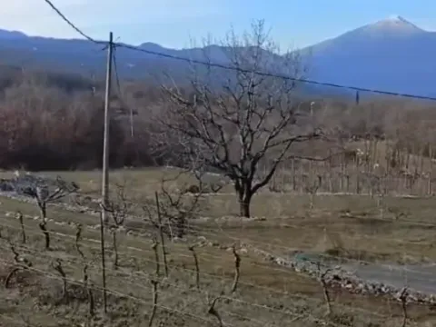 Prodaja, plac, 40000m², Podgorica, Crna Gora - image 2