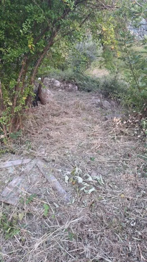 Prodaja, plac, 1700m², Kavač, Kotor