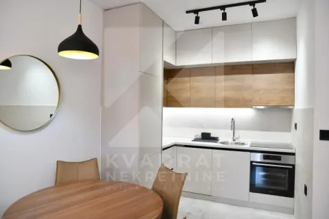 Izdavanje, jednosoban stan, 48m², Ljubović, Podgorica - image 4