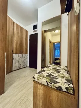 Izdavanje, jednosoban stan, 51m², Ljubović, Podgorica - image 6