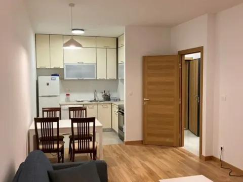 Izdavanje, jednosoban stan, 48m², New City, Podgorica - image 5