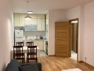 Izdavanje, jednosoban stan, 48m², New City, Podgorica - image 5