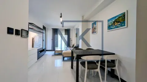 Izdavanje, jednosoban stan, 45m², Zagorič, Podgorica - image 5