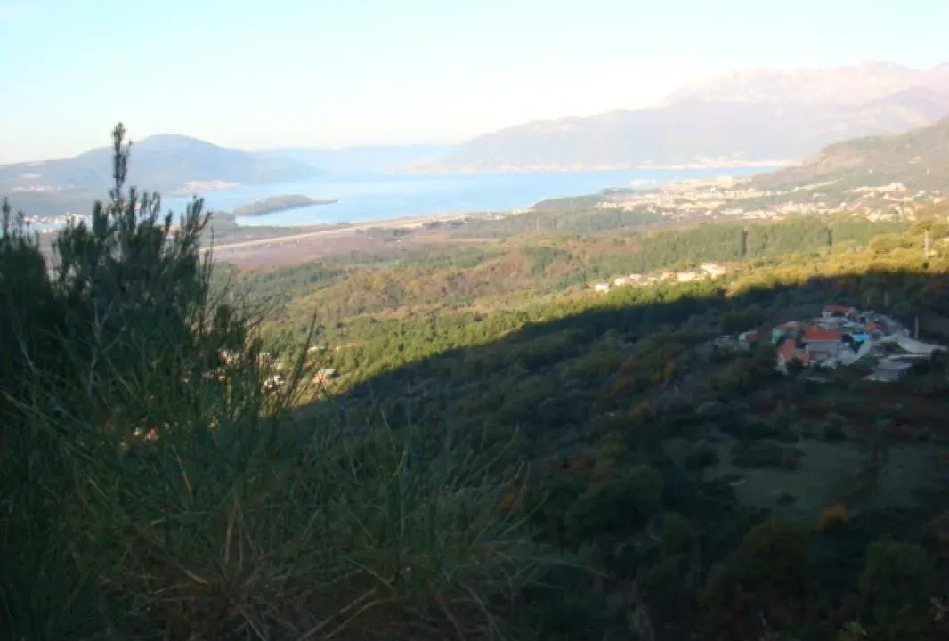 Sale, land lot, 2000m², Kavač, Kotor