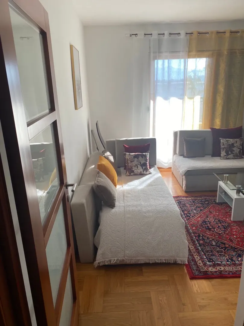 Izdavanje, jednosoban stan, 52m², Preko Morače, Podgorica