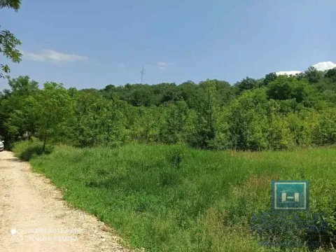 Prodaja, plac, 2400m², Đurđevo brdo, Jagodina - image 4