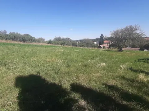 Prodaja, plac, 2800m², Petrovaradin, Novi Sad - image 4