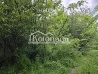 Sale, land lot, Parcani, Sopot - image 3