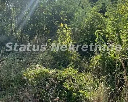 Prodaja, plac, 1673m², Sremska Kamenica, Petrovaradin - image 5