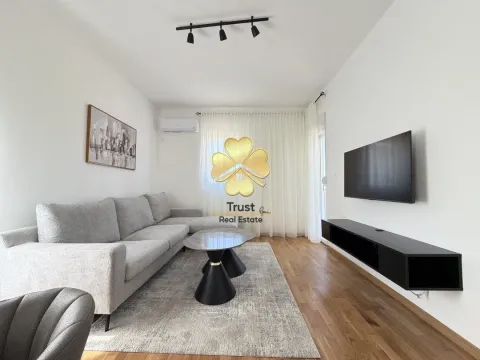 Izdavanje, dvosoban stan, 70m², Zagorič, Podgorica - image 1