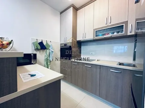 Izdavanje, jednosoban stan, 50m², Central Point, Podgorica - image 4