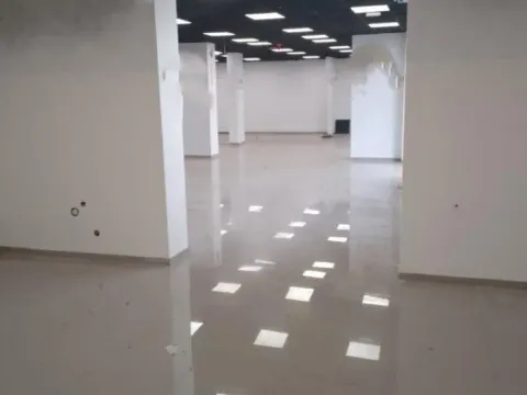 Rent, office space, 350m², Jugovićevo, Novi Sad Sve Podlokacije - image 4