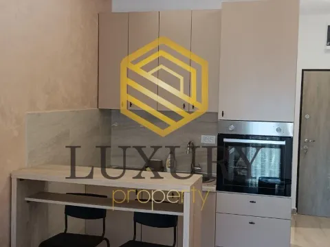 Rent, studio apartment, 20m², Zabjelo, Podgorica - image 2