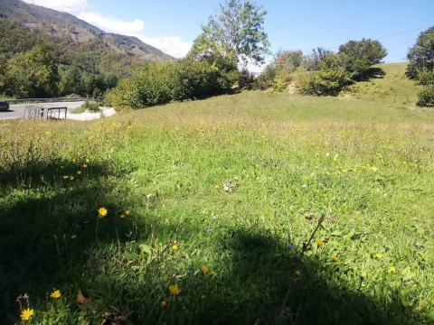 Zeleni travnati plac okružen brdima i šumom. - image 6