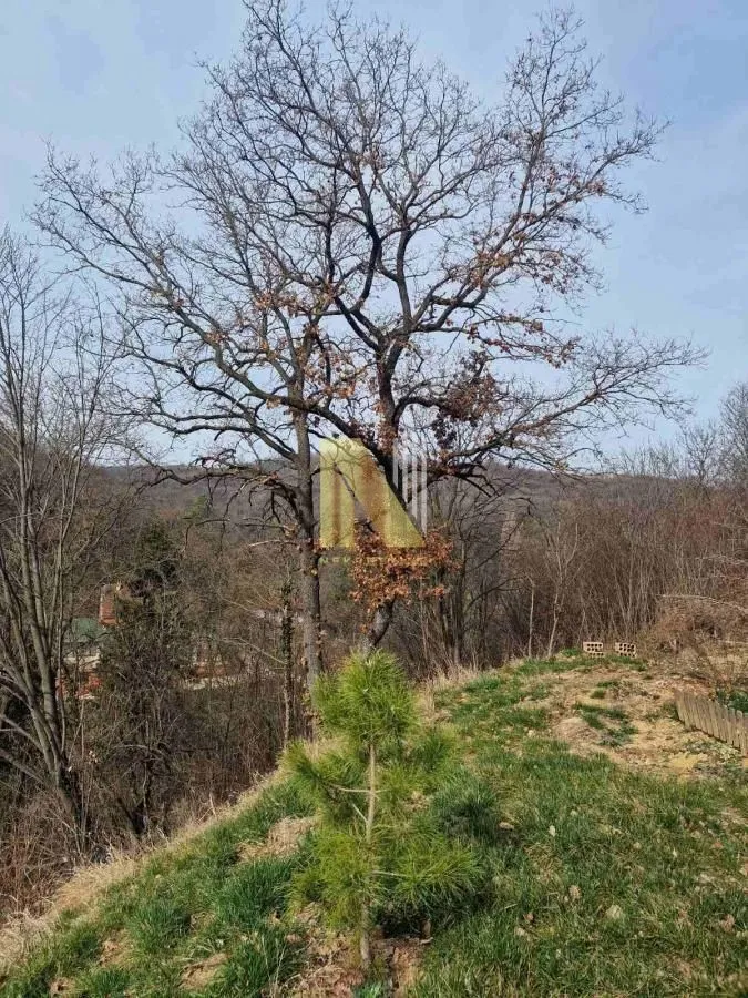 Sale, house, 16m², Sremski Karlovci, Novi Sad