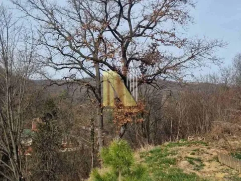 Prodaja, kuća, 16m², Sremski Karlovci, Novi Sad - image 8