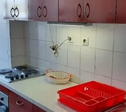 Prodaja, dvosoban stan, 48m², Vračar Sve Podlokacije, Beograd - image 4