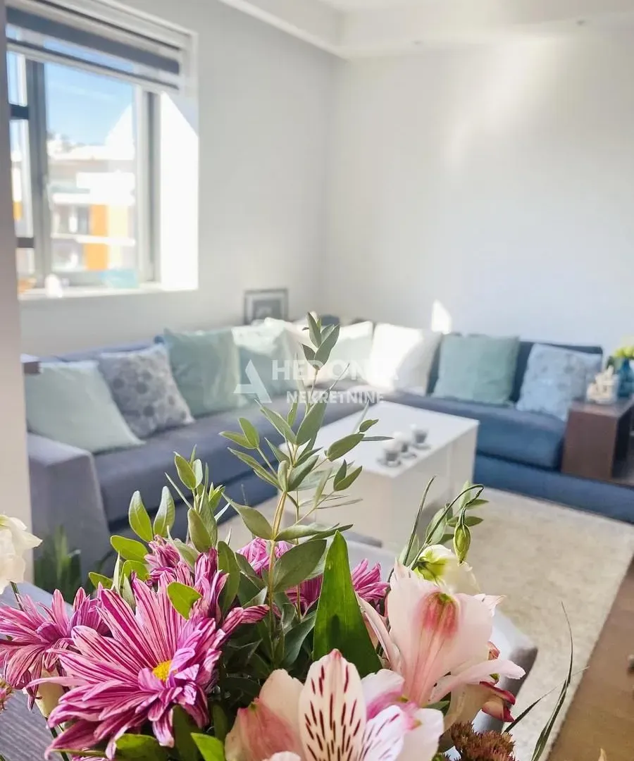 Izdavanje, dvosoban stan, 45m², Novi Beograd Blok 65, Novi Beograd Sve Podlokacije