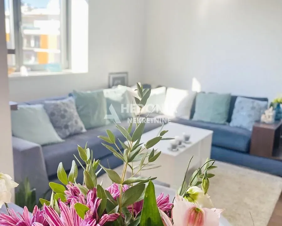 Rent, two bedroom apartment, 45m², Novi Beograd Blok 65, Novi Beograd Sve Podlokacije