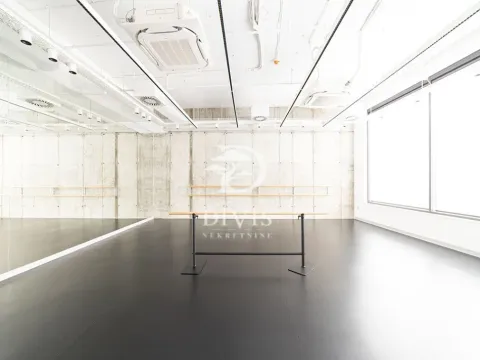 Prodaja, poslovni prostor, 289m², Donji Dorćol, Dorćol Sve Podlokacije - image 4