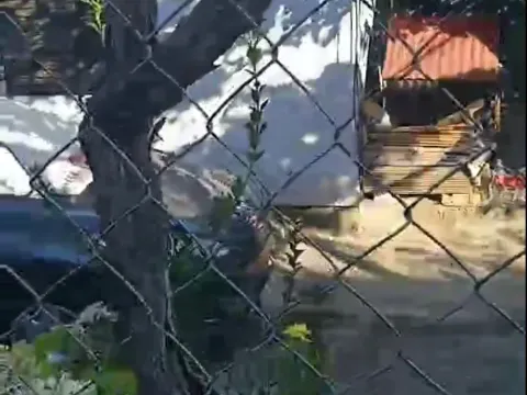 Sale, house, 113m², Bar, Crna Gora - image 4