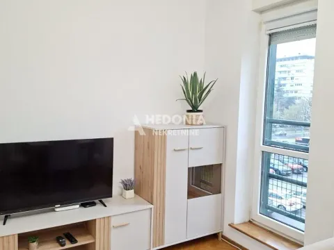 Rent, two bedroom apartment, 40m², Novi Beograd Sve Podlokacije, Beograd - image 4