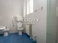 Rent, house, 300m², Dedinje Sve Podlokacije, Beograd - image 11